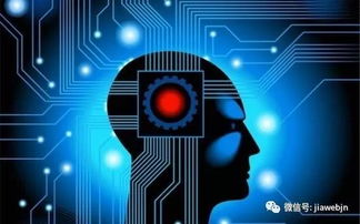 同質(zhì)化格局下，AI能否引爆智能手機(jī)行業(yè)創(chuàng)新？——人工智能應(yīng)用軟件開發(fā)的挑戰(zhàn)與機(jī)遇